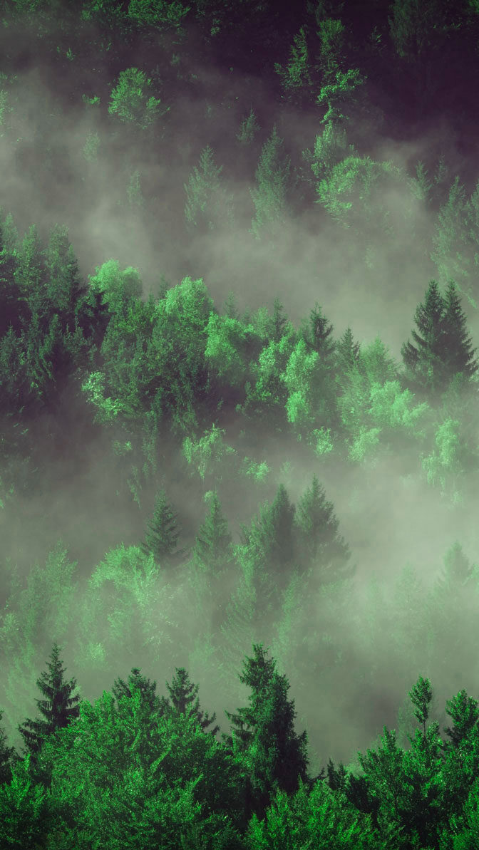 política medioambiental