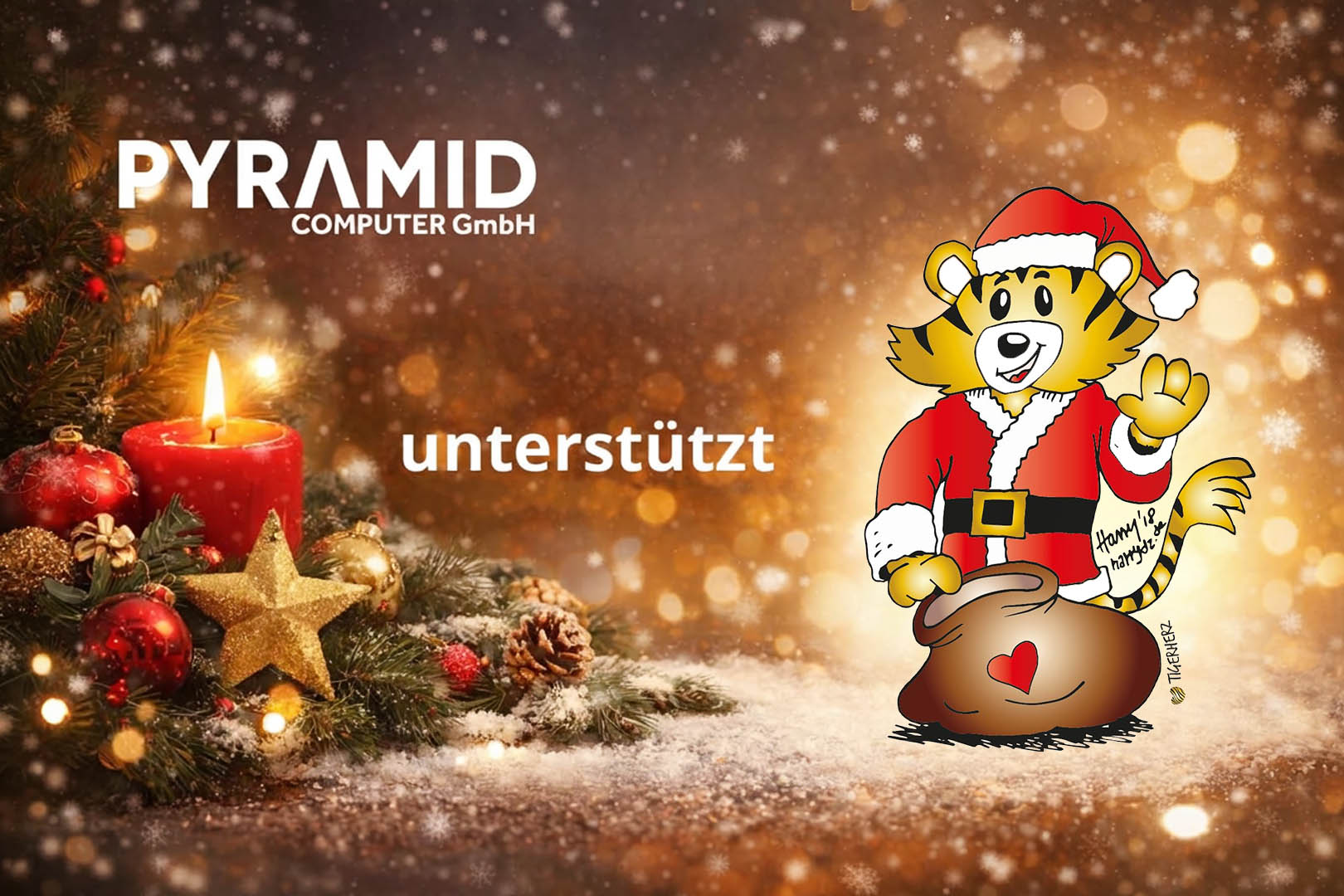 Pyramid Computer a Tigerherz